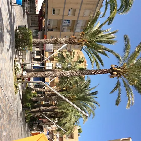 Lorena 1b Pilar de la Horadada