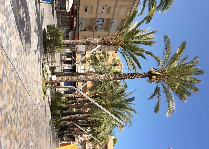 Lorena 1b Pilar de la Horadada